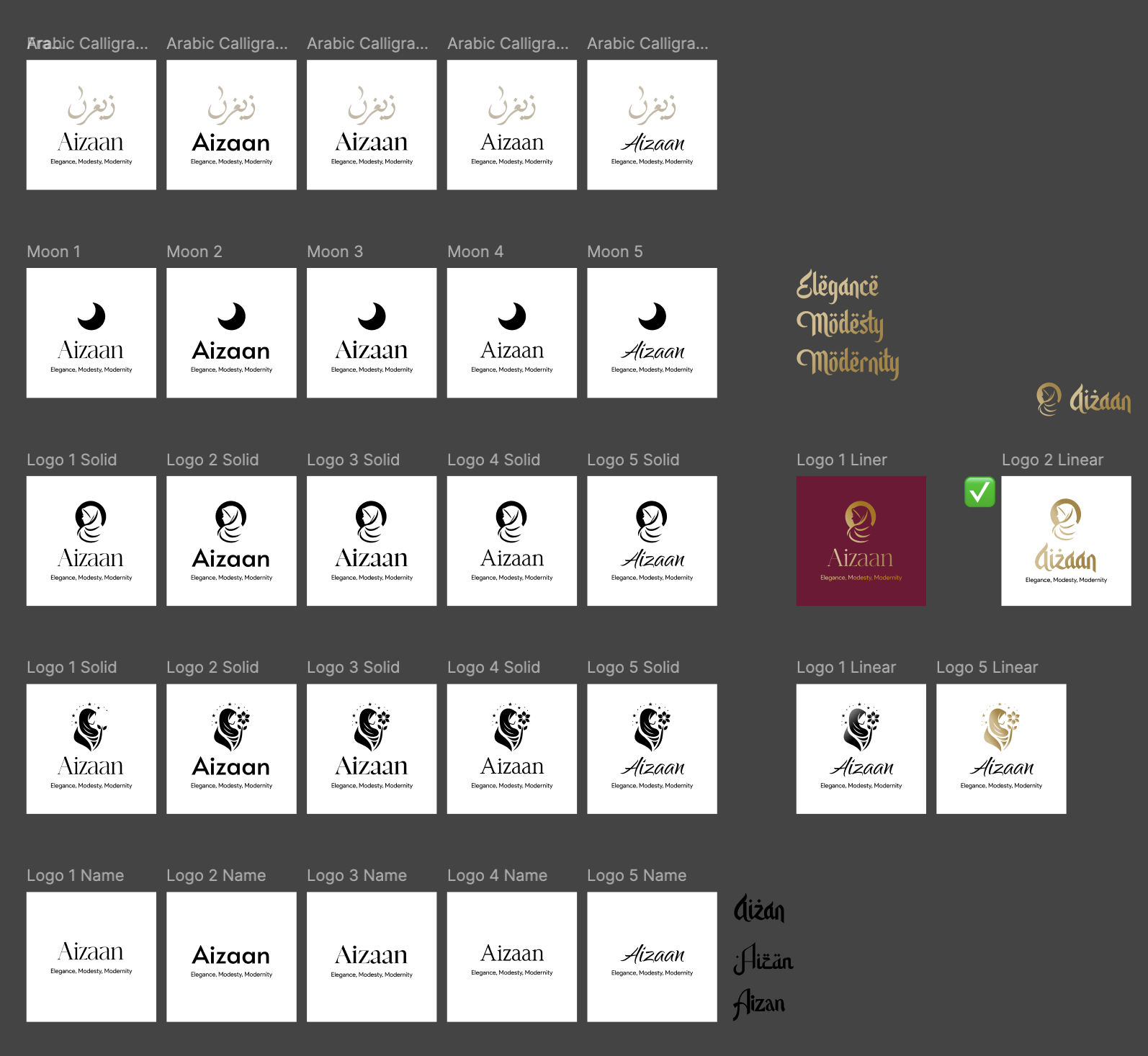 Aizaan Logo Variations and Development Process